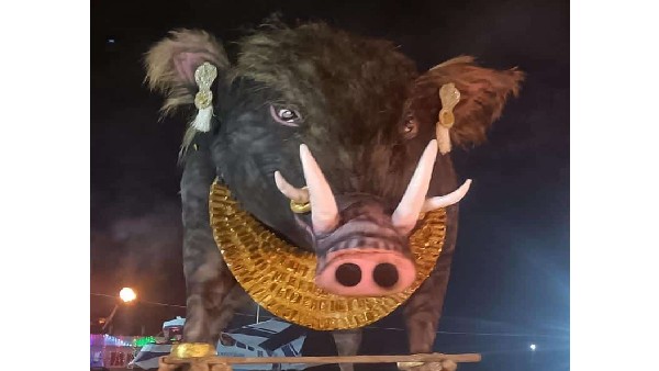 Panjurli Daiva Statue Attract Everyone In Karwar Dindi Utsava