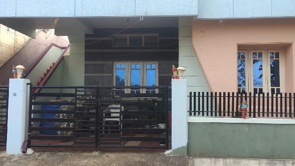 ಕೆಂಪು ಬಣ್ಣದ ನೀರಿಗೆ ಬೆದರಿದ ಬೀದಿ ನಾಯಿಗಳು 