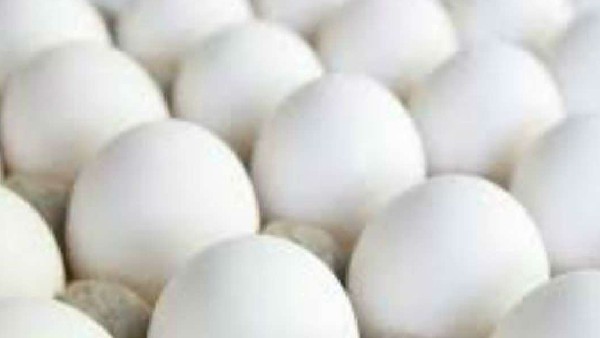 FIFA World Cup 2022: demand Increased for Tamil Nadus Namakkal eggs in Qatar FIFA World Cup 2022: demand Increased for Tamil Nadus Namakkal eggs in Qatar