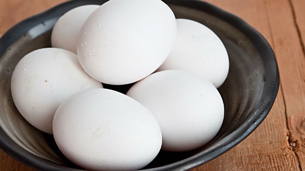 FIFA World Cup 2022: demand Increased for Tamil Nadus Namakkal eggs in Qatar FIFA World Cup 2022: demand Increased for Tamil Nadus Namakkal eggs in Qatar