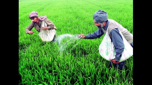 Cabinet approved Rs. 51,875 crore subsidy for fertilizers for Rabi season