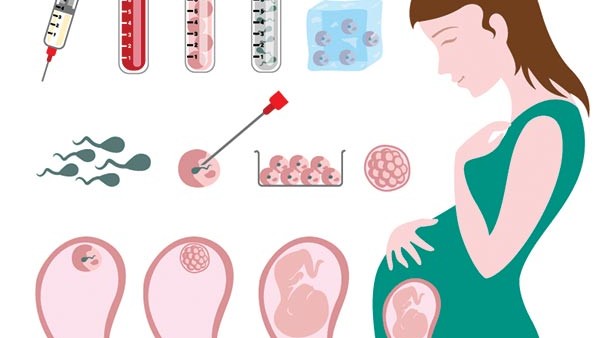 ಘನೀಕೃತ ಭ್ರೂಣ ಎಂದರೇನು? 