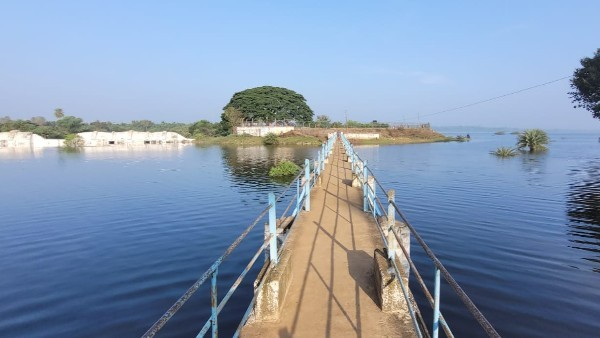 Karnataka Wildlife Board demand Hesaraghatta meadow as reserve conservation area 