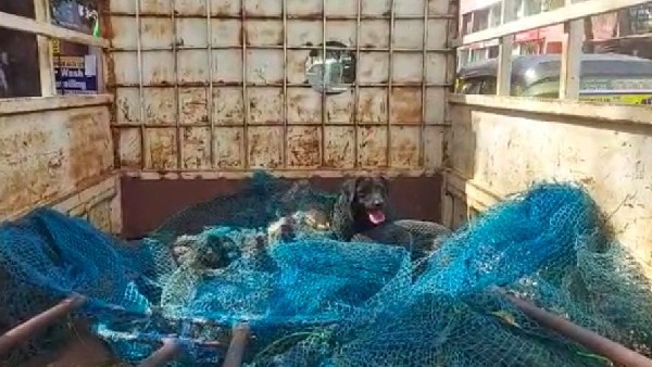 ಅಧಿಕಾರಿಗಳಿಗೆ ಜನರಿಂದ ತರಾಟೆ 