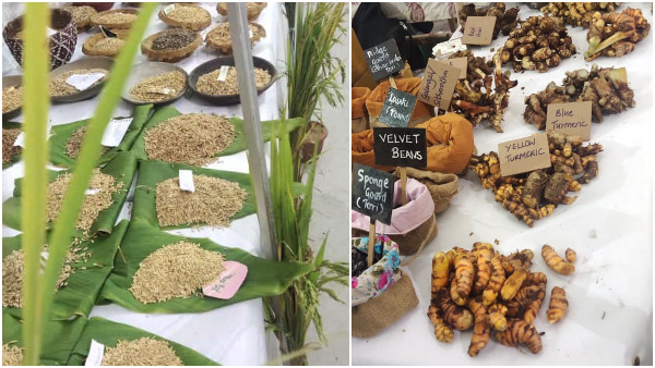  19 ರಾಜ್ಯದ ಮಾರಾಟಗಾರರು 