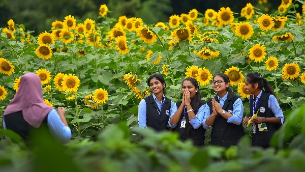 ಮೇಳದಲ್ಲಿ ಇರಲಿವೆ ಸುಮಾರು 700 ಮಳಿಗೆಗಳು 