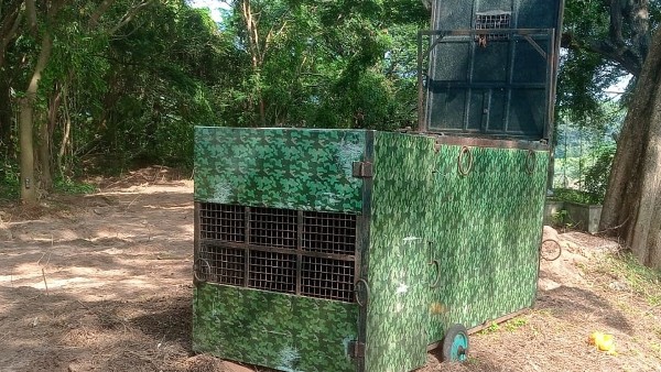  ಅಕ್ಟೋಬರ್‌ 28ರಂದು ಚಿರತೆ ಪ್ರತ್ಯಕ್ಷ 