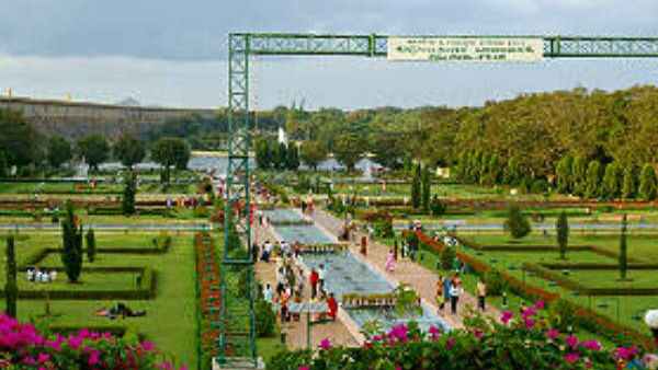  ನಿಗಮಕ್ಕೆ 25 ಲಕ್ಷ ರೂಪಾಯಿನಷ್ಟು ನಷ್ಟ 