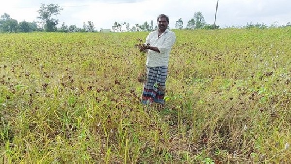 ದಿನೇಶ್ ಗೂಳಿಗೌಡ ನೀಡಿದ ಪತ್ರದಲ್ಲಿ ಏನಿದೆ? 