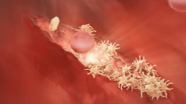 ವಿಶ್ವದ ಅತ್ಯಂತ ದುಬಾರಿ ಔಷಧ ಹೆಮ್ಜೆನಿಕ್ಸ್ ವಿಶ್ವದ ಅತ್ಯಂತ ದುಬಾರಿ ಔಷಧ ಹೆಮ್ಜೆನಿಕ್ಸ್