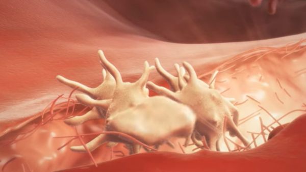 ಈವರೆಗಿನ ದುಬಾರಿ ಔಷಧಿ ಯಾವುದು ಮತ್ತು ಯಾವುದಕ್ಕೆ ಬಳಕೆ? ಈವರೆಗಿನ ದುಬಾರಿ ಔಷಧಿ ಯಾವುದು ಮತ್ತು ಯಾವುದಕ್ಕೆ ಬಳಕೆ?