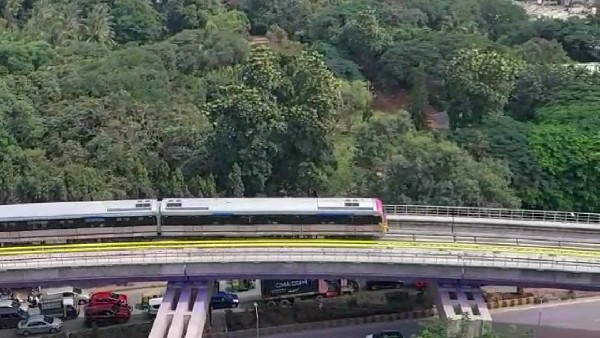 HC seeks report from BMRCL Namma Metro on cutting, retain, translocating Trees