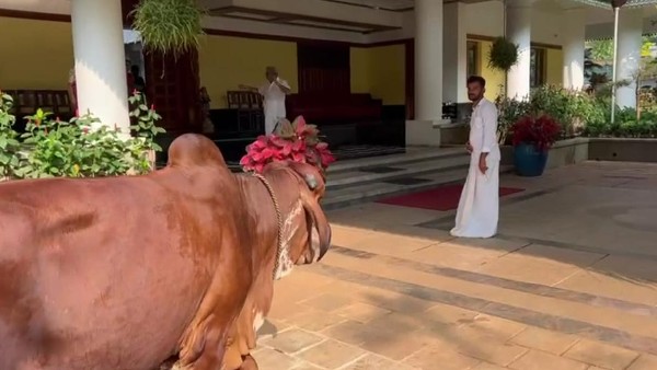  ಧರ್ಮಸ್ಥಳಕ್ಕೆ ಗಿರ್‌ ತಳಿಯ ಬಸವನನ್ನು ಒಪ್ಪಿಸಿದ ಜಿಗಣಿ ನಿವಾಸಿ