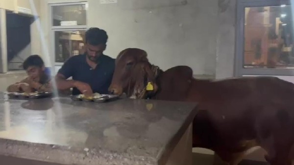 ವಾರಾಂತ್ಯದಲ್ಲಿ ನೆಟ್‌ವರ್ಕ್ ಇಲ್ಲದ ಊರುಗಳು ಶ್ರೇಯಾಂಸ್ ಆಯ್ಕೆ 