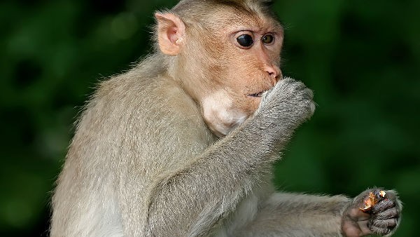 ಇಬ್ಬರ ಸ್ಥಿತಿ ಚಿಂತಾಜನಕ ಇಬ್ಬರ ಸ್ಥಿತಿ ಚಿಂತಾಜನಕ