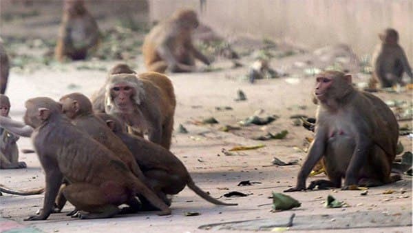 ಮಹಿಳೆಯ ಸ್ಥಿತಿ ಚಿಂತಾಜನಕ ಮಹಿಳೆಯ ಸ್ಥಿತಿ ಚಿಂತಾಜನಕ