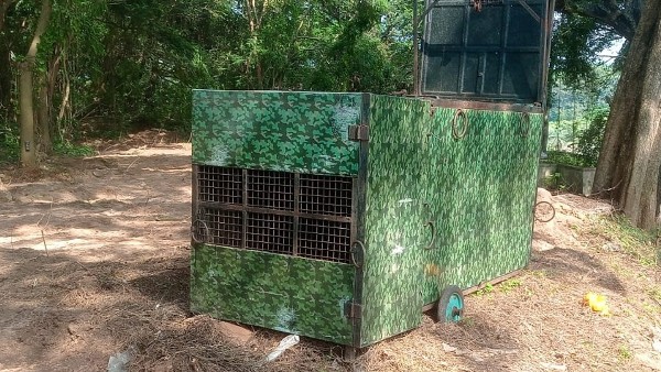 ಬೃಂದಾವನಕ್ಕೆ ಪ್ರವಾಸಿಗರಿಗೆ ಪ್ರವೇಶ ನಿಷೇಧ 