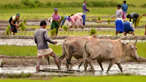 ರೈತರಿಗೆ ಅಸ್ತಿತ್ವದ ಬಿಕ್ಕಟ್ಟು ಕಾಡುತ್ತಿದೆ