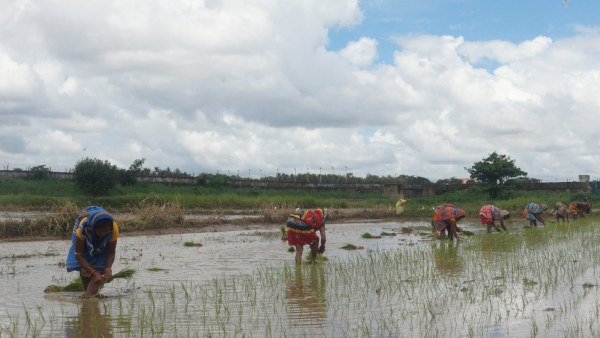 Farmers Demand For Tungabhadra Water Till Summer Crops 
