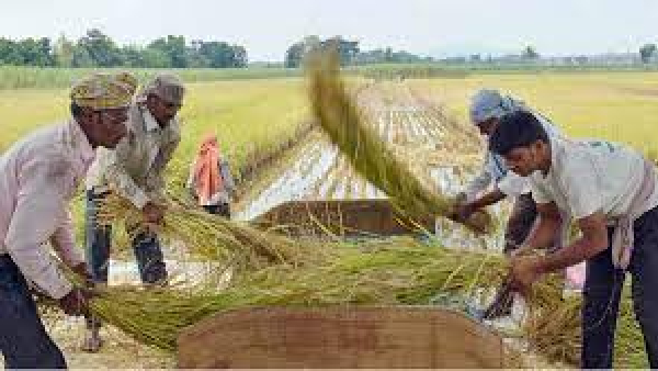 ಕೃಷಿ ಕ್ಷೇತ್ರದಲ್ಲಿ ಮಾನವ ಸಂಪನ್ಮೂಲ ಅಭಿವೃದ್ಧಿಗೊಳಿಸಿ 