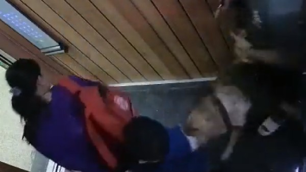 Video: Pet Dog Bites Child In lift Ghaziabad 
