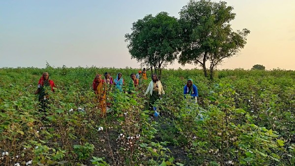 ರೈತಾಪಿ ವರ್ಗದವರ ಜೇಬಿಗೆ ಕತ್ತರಿ ಬೀಳುತ್ತಿದೆ 