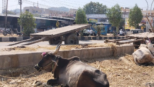 ಹಮಾಲಿಗರ ಕಷ್ಟಗಳನ್ನು ಆಲಿಸದ ಸರ್ಕಾರ ಹಮಾಲಿಗರ ಕಷ್ಟಗಳನ್ನು ಆಲಿಸದ ಸರ್ಕಾರ