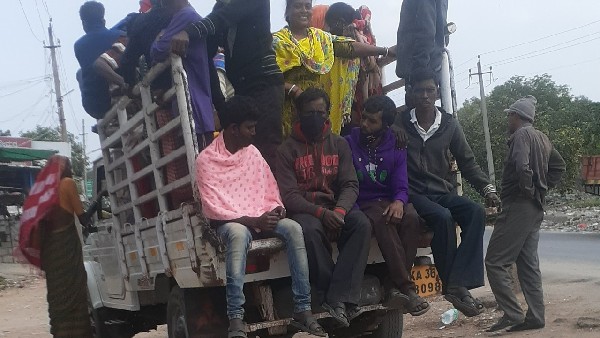 ಹತ್ತಿ ಬಿಡಿಸುವುದಕ್ಕೆ ಸಿಗದ ಕಾರ್ಮಿಕರು 