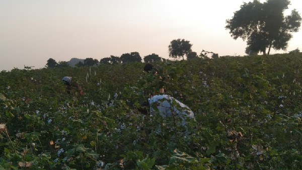 ಸಹಾಯಕ ಕೃಷಿ ನಿರ್ದೇಶಕ ಭರವಸೆ ಸಹಾಯಕ ಕೃಷಿ ನಿರ್ದೇಶಕ ಭರವಸೆ