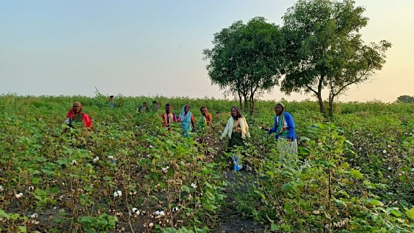 ಹೊರರಾಜ್ಯಗಳಿಂದ ಕಾರ್ಮಿಕರ ಆಗಮನ 