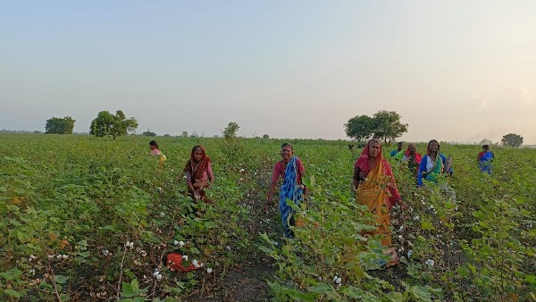 ಕೂಲಿಕಾರರಿಂದ ಹೆಚ್ಚು ಹಣಕ್ಕೆ ಬೇಡಿಕೆ 