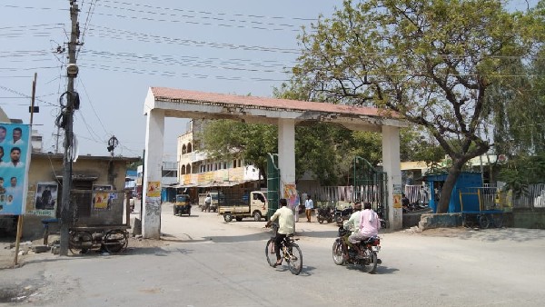 ಕಟಾವು ಮಾಡದೆ ಹೊಲದಲ್ಲೇ ಉಳಿದ ಈರುಳ್ಳಿ 