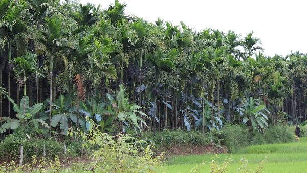 ಟಾಸ್ಕ್ ಪೋರ್ಸ್ ವಿರುದ್ಧ ವಿಪಕ್ಷಗಳ ಕಿಡಿ