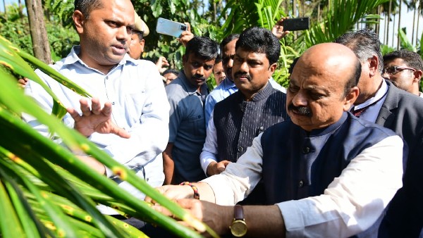 Yellow Leaf disease to Arecanut crop: Chief Minister visited Arecanut plantation of Thirthahalli , Here See highlights Yellow Leaf disease to Arecanut crop: Chief Minister visited Arecanut plantation of Thirthahalli , Here See highlights