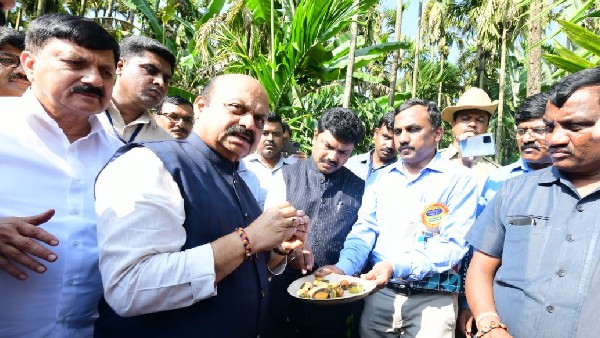 Yellow Leaf disease to Arecanut crop: Chief Minister visited Arecanut plantation of Thirthahalli , Here See highlights Yellow Leaf disease to Arecanut crop: Chief Minister visited Arecanut plantation of Thirthahalli , Here See highlights