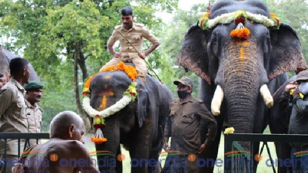  ಸಕ್ರೈಬೈಲಿಗೆ ಹೋಗುವ ಮಾರ್ಗ 