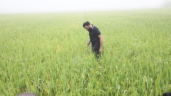 ನೀರಿ ಹರಿಸಲು ಶಕ್ತಿ ಮೀರಿ ಪ್ರಯತ್ನಿಸುತ್ತೇವೆ