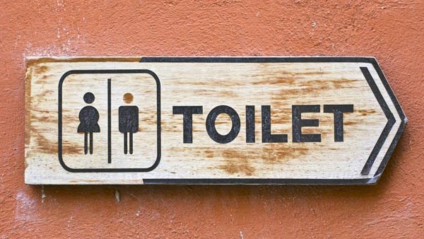 20 percent of schools in Telangana do not have toilets for girls - report 20 percent of schools in Telangana do not have toilets for girls - report