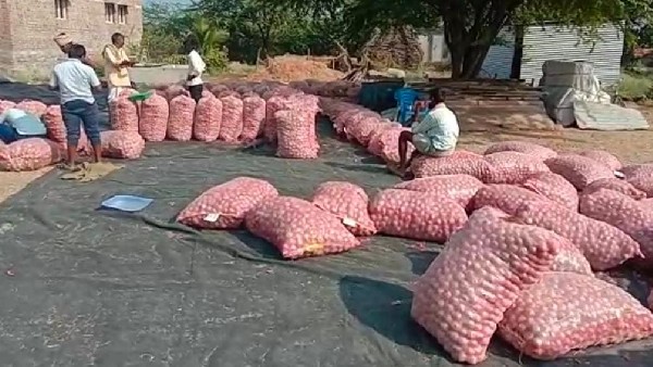 205 kg onion selling farmer of Gadag got 8.36 rupees 