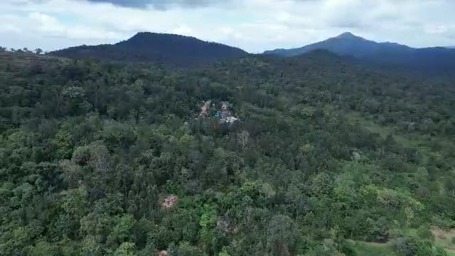 Yalandur; Bitter honey with medicine quality found in Biligiriranga hill
