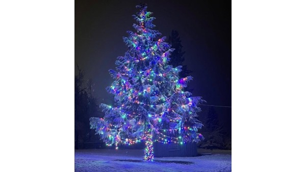 ಗೋವಾದಲ್ಲಿ ಕ್ರಿಸ್‌ಮಸ್‌ ಆಚರಣೆ ಹೇಗಿರಲಿದೆ..?