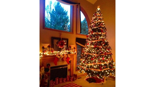 ಶಿಲ್ಲಾಂಗ್‌ದಲ್ಲಿ ಕ್ರಿಸ್‌ಮಸ್‌ ಆಚರಣೆ ಹೇಗಿರಲಿದೆ..?