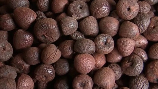 ನ್ಯೂ ವೆರೈಟಿ ಅಡಿಕೆಯಲ್ಲೂ 9 ಸಾವಿರ ರೂ. ಕುಸಿತ
