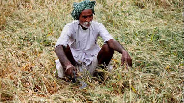  ಸಂಕಷ್ಟದಲ್ಲಿ ಭಾರತದ ರೈತರು..?