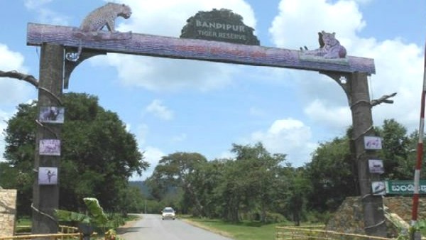 ಪ್ರವಾಸಿಗರಿಗೆ ಸಫಾರಿ ಮಾಡಲು ವಿವರ 