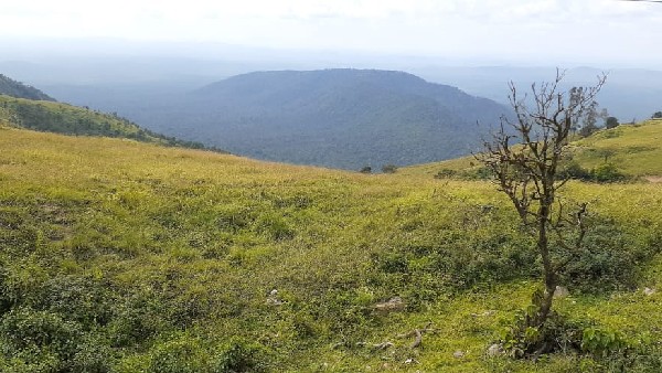 ಪ್ರತಿನಿತ್ಯ ನೆರೆಯುವ ಪ್ರವಾಸಿಗರ ದಂಡು 
