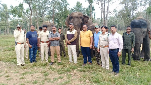 4 Elephant From Rampur Camp Handed Over To Madhya Pradesh