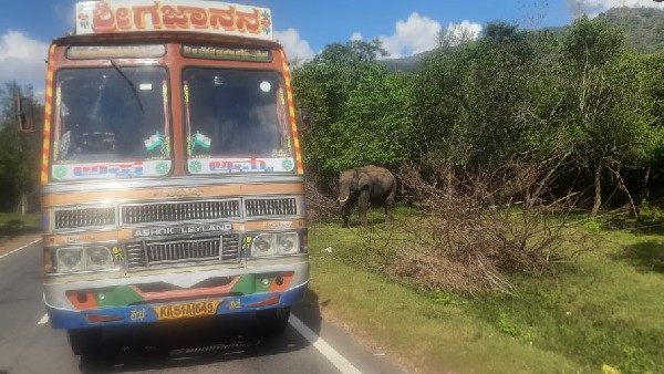 Chamarajanagar: Lorry driver fined 75 thousand for giving sugarcane to elephant 