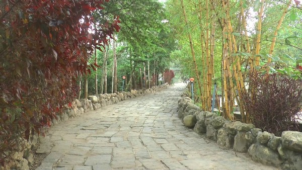  ಎಷ್ಟು ಹಣ ಕೊಟ್ಟರೂ ಸಿಗದ ರೂಂಗಳು