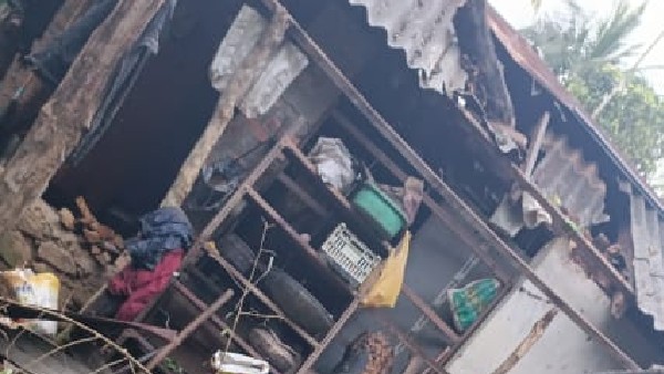 Mandous Cyclone effect: Crops destroyed in Chikkamagaluru, farmers panic